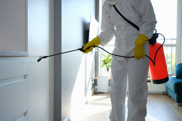 Professional Mold Removal in Great Falls Crossing, VA