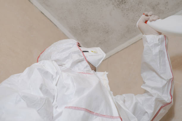 Best Professional Mold Removal  in Great Falls Crossing, VA
