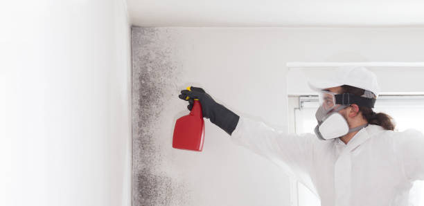 Certified Mold Removal in Great Falls Crossing, VA